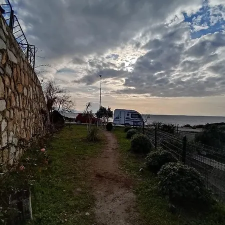 Karanfil 11