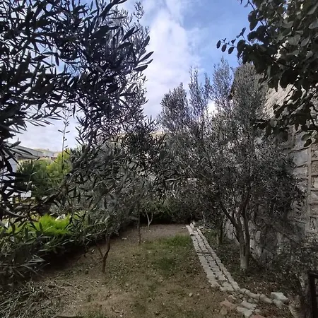 Karanfil 11 Villa *
